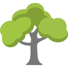 Springfield Trees Removal