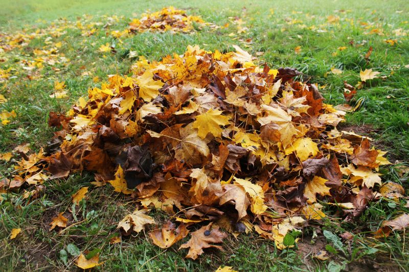 Preventative Leaf Management