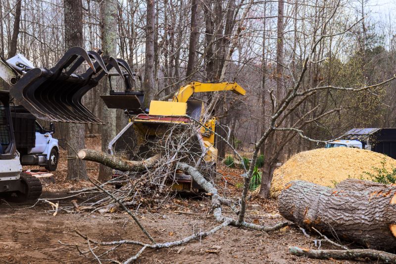 Heavy Machinery at Work
