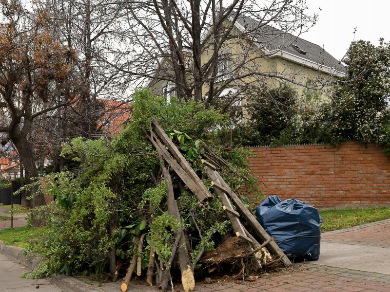 Cleared Property