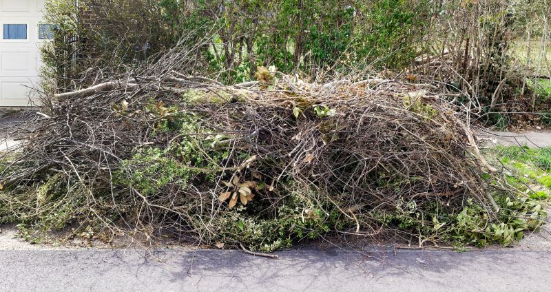 Clearing the Site